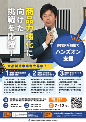 ハンズオン支援先を募集いたします!(令和6年度沖縄地域における知財経営支援モデル創出事業)チラシ