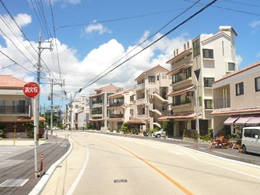 龍潭通り沿線地区