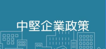 中堅企業政策