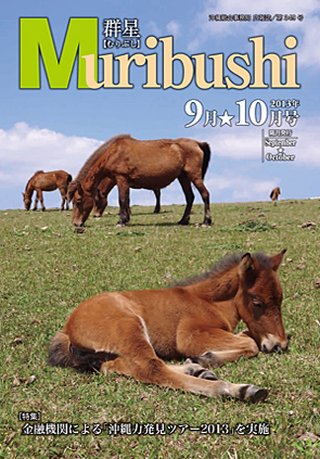 ${g.field('BOX11FILE').Alt}