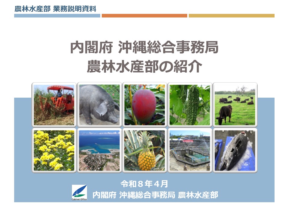 業務説明資料
